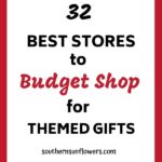 best stores to budget shop for themed gifts