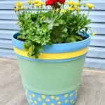 painted flower pot