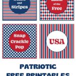 free 4th of july printable fans