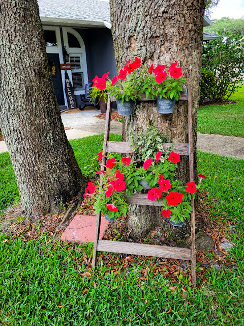 flowers in pots hanging from ladder shown for diy outdoor garden decor ideas 