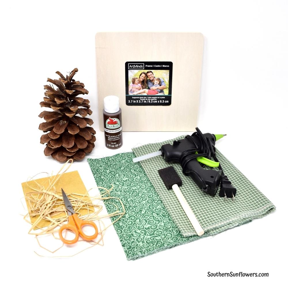 all the supplies needed, such as, a pine cone and wood frame