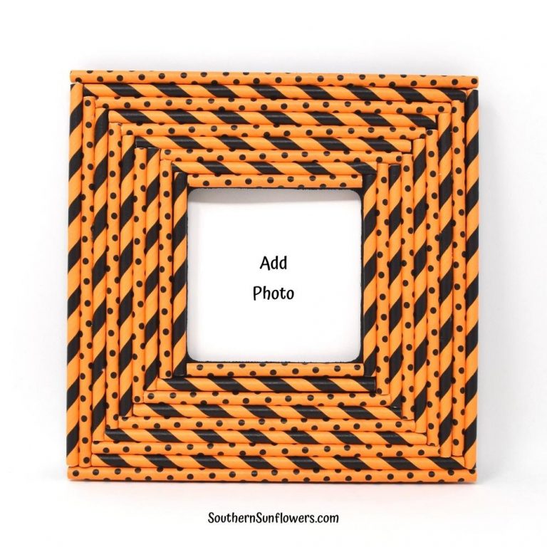 Dollar Store Halloween Picture Frame